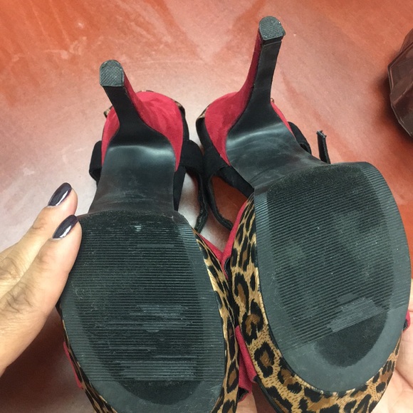 Bakers Leopard - Picture 4 of 4